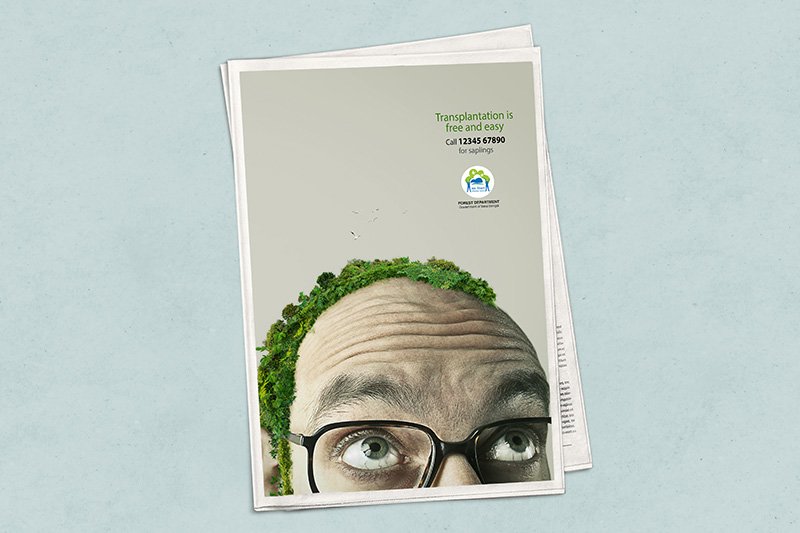 Forest Department Afforestation Campaign